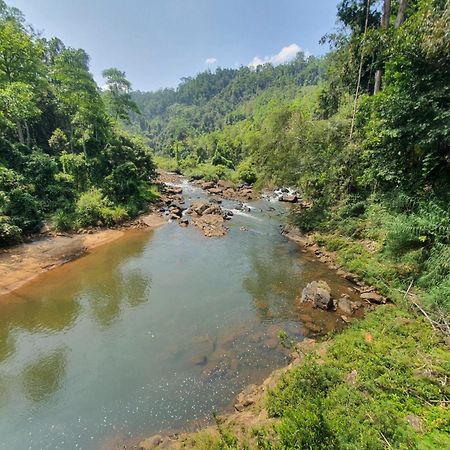 Rainforest River Bay Деніяя Екстер'єр фото