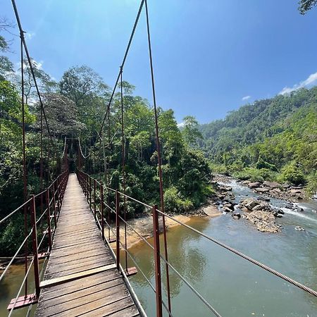Rainforest River Bay Деніяя Екстер'єр фото