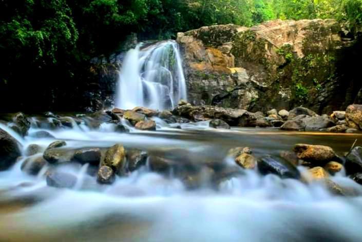 Rainforest River Bay Деніяя Екстер'єр фото