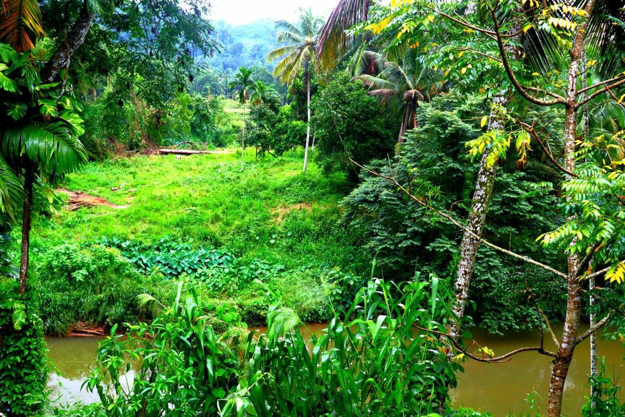 Rainforest River Bay Деніяя Екстер'єр фото